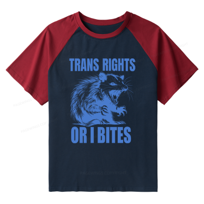 Pagewings Trans Rights 15860 Bookish Raglan T-shirt