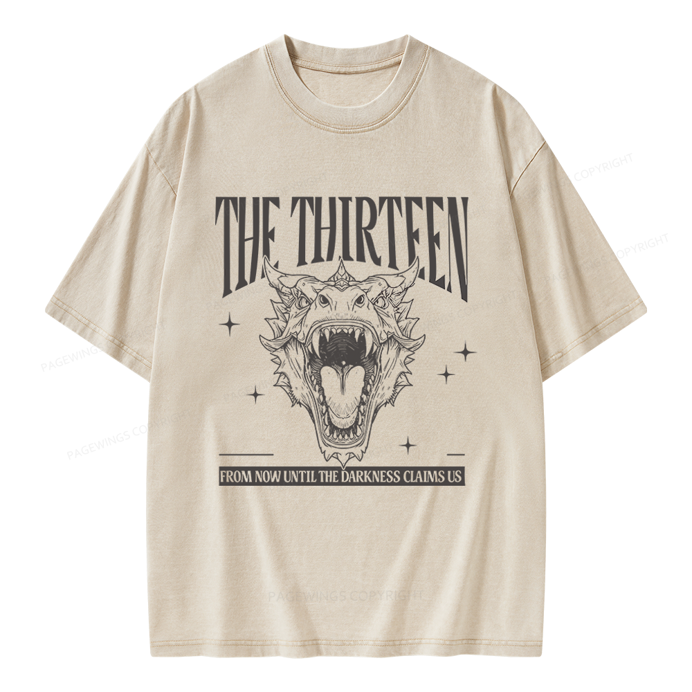 Pagewings Fantasy Bookish Unisex Washed T-shirt