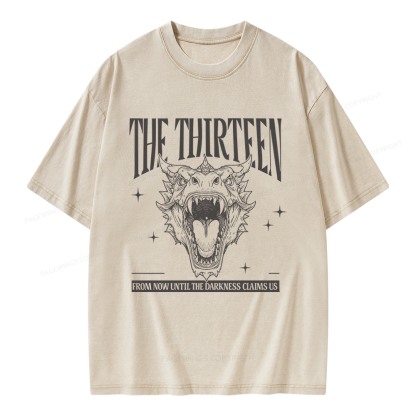 Pagewings Fantasy Bookish Unisex Washed T-shirt