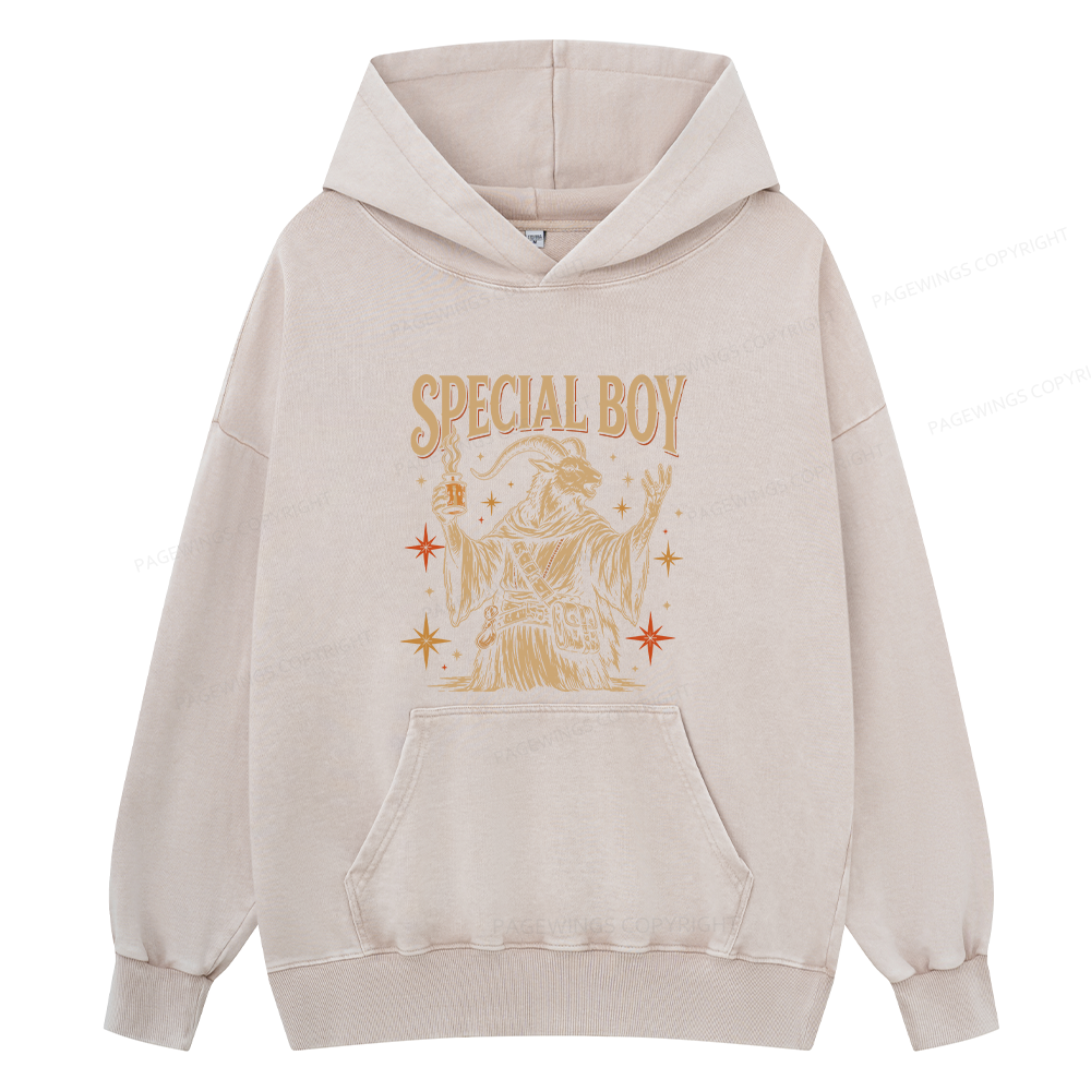 Pagewings Sci-Fi Book Lover Unisex Washed Hoodie
