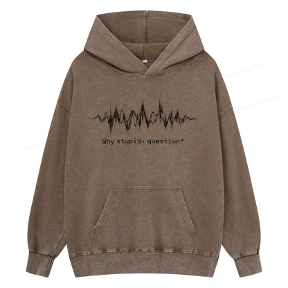 Pagewings Why Stupid Question Unisex Washed Hoodie