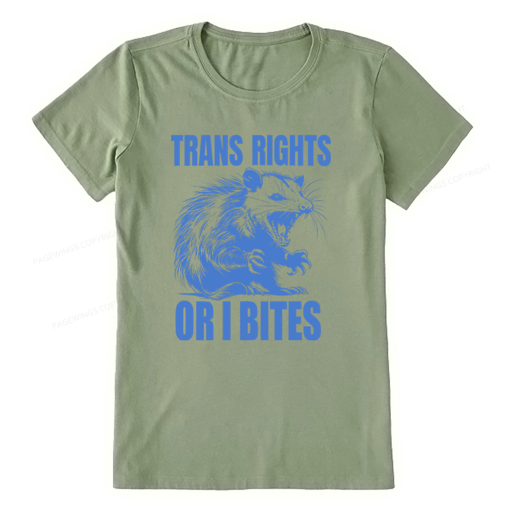 Pagewings Trans Rights Unisex Classic T-shirt
