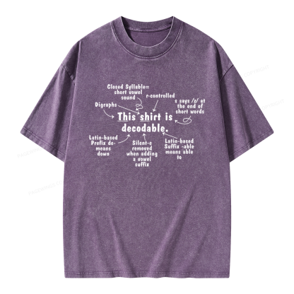 Pagewing This Shirt Is Decodable Unisex Washed T-shirt