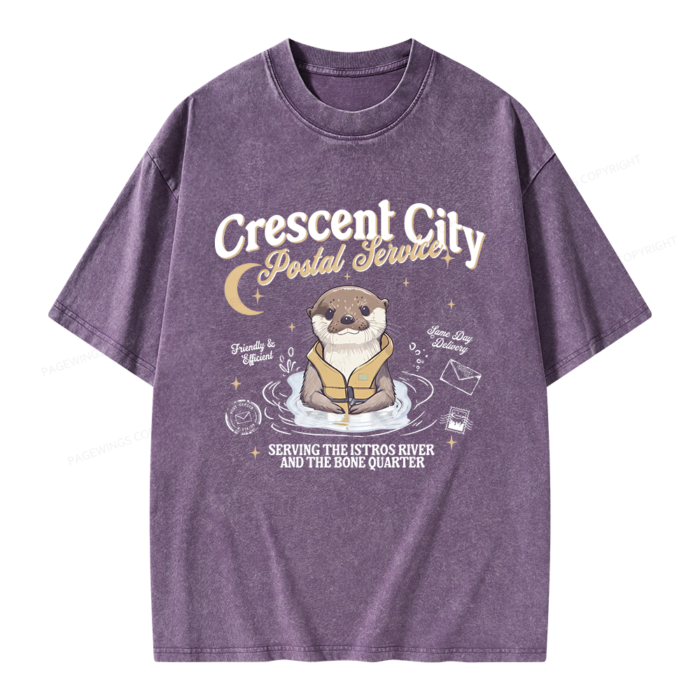 Pagewing Reading Fantasy Bookish Unisex Washed T-shirt