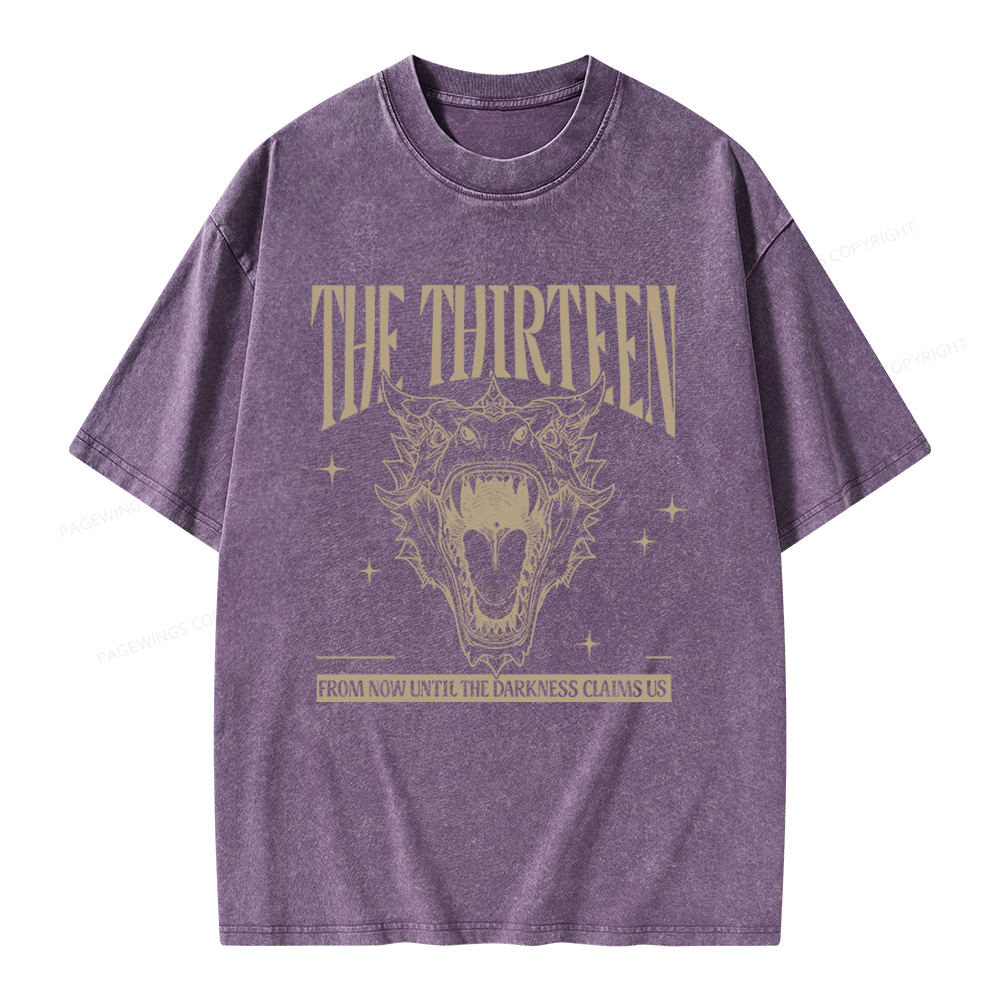 Pagewings Fantasy Bookish Unisex Washed T-shirt