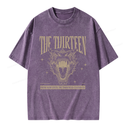 Pagewings Fantasy Bookish Unisex Washed T-shirt