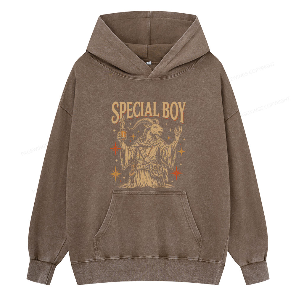 Pagewings Sci-Fi Book Lover Unisex Washed Hoodie