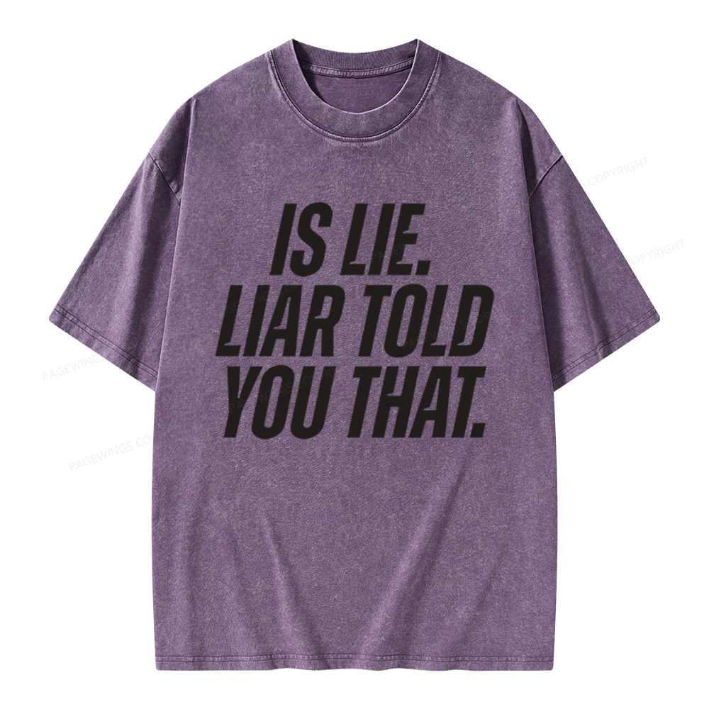 Pagewings Is Lie Liar Told You That Unisex Washed T-shirt