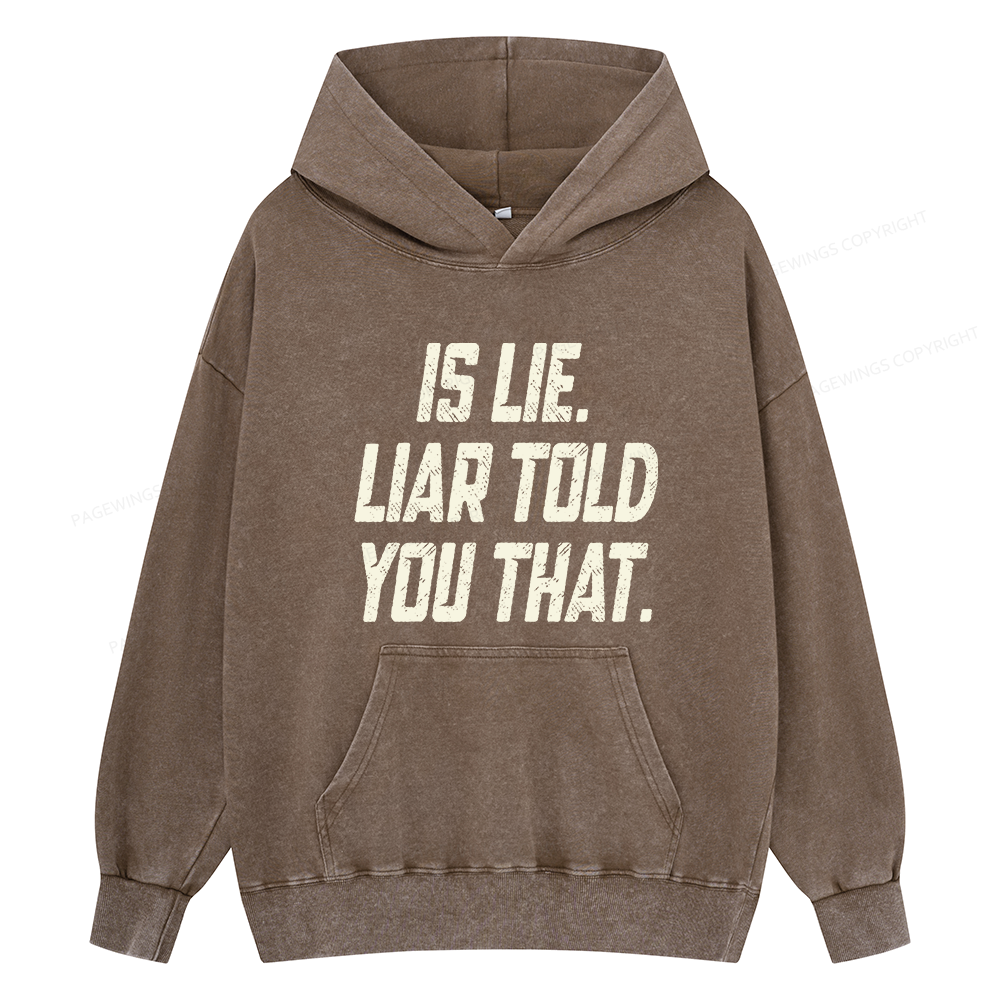 Pagewings Is Lie Liar Told You That Unisex Washed Hoodie