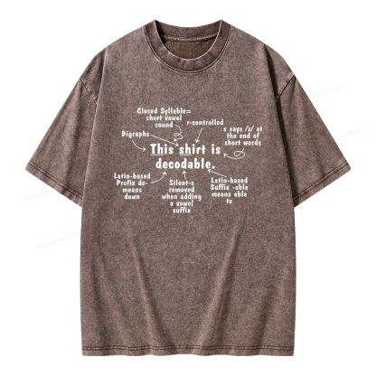 Pagewing This Shirt Is Decodable Unisex Washed T-shirt