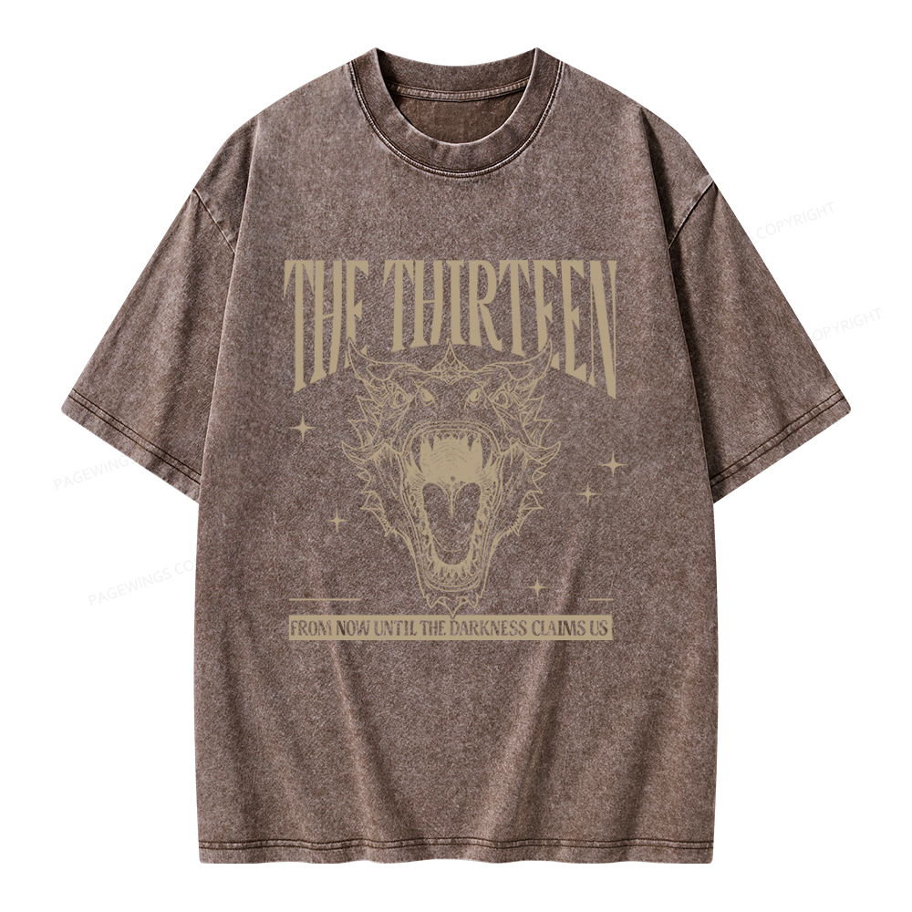 Pagewings Fantasy Bookish Unisex Washed T-shirt