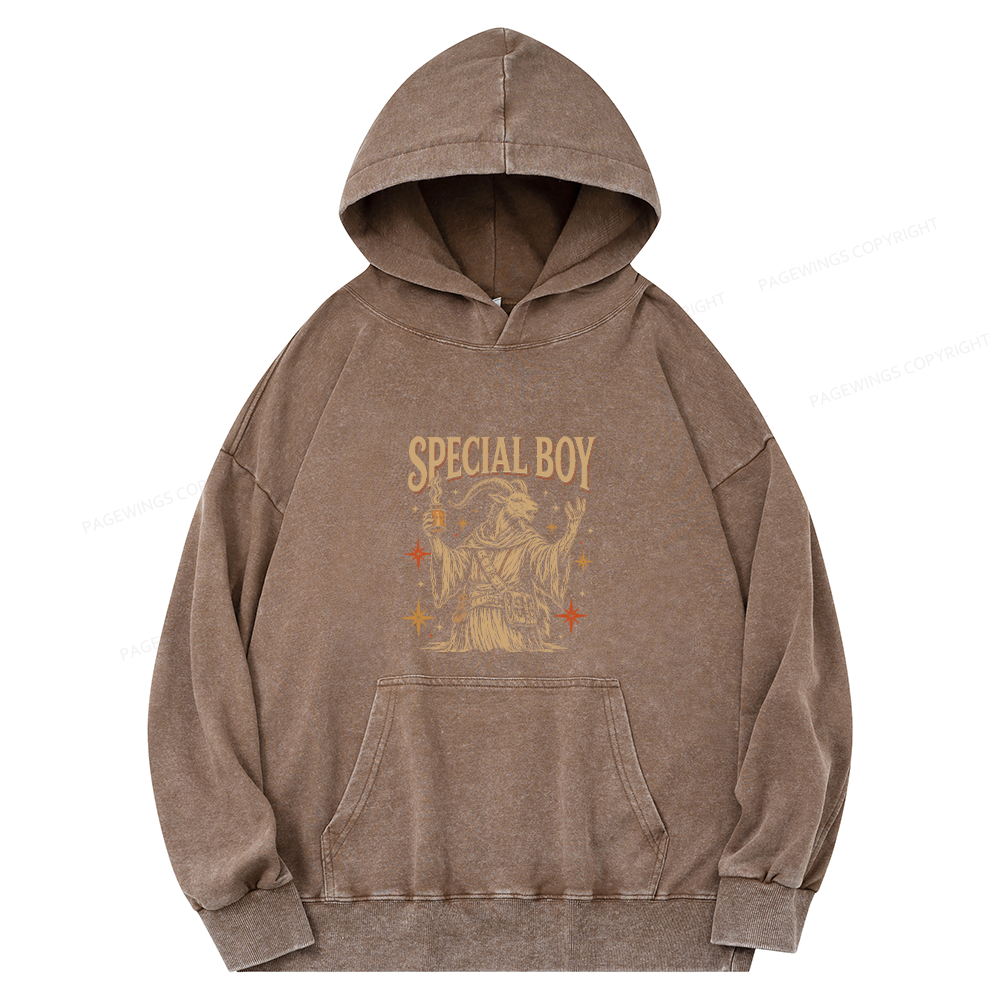 Pagewings Sci-Fi Book Lover Unisex Washed Hoodie