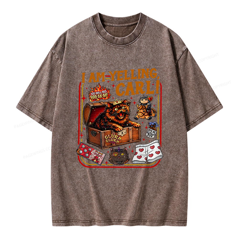 Pagewings Fantasy Book Reader Unisex Washed T-shirt