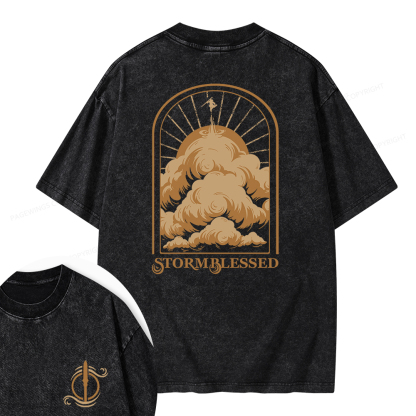 Pagewings Stormblessed Unisex Washed T-shirt