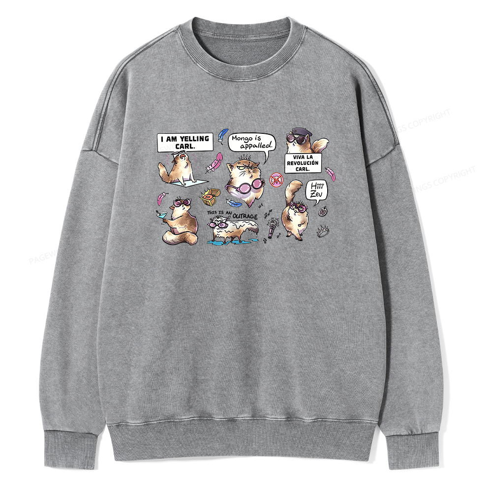 画板 3