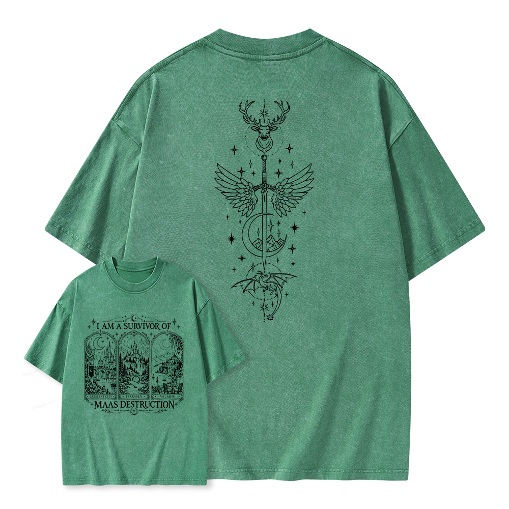 Pagewings Fantasy Book Lover Unisex Washed T-shirt