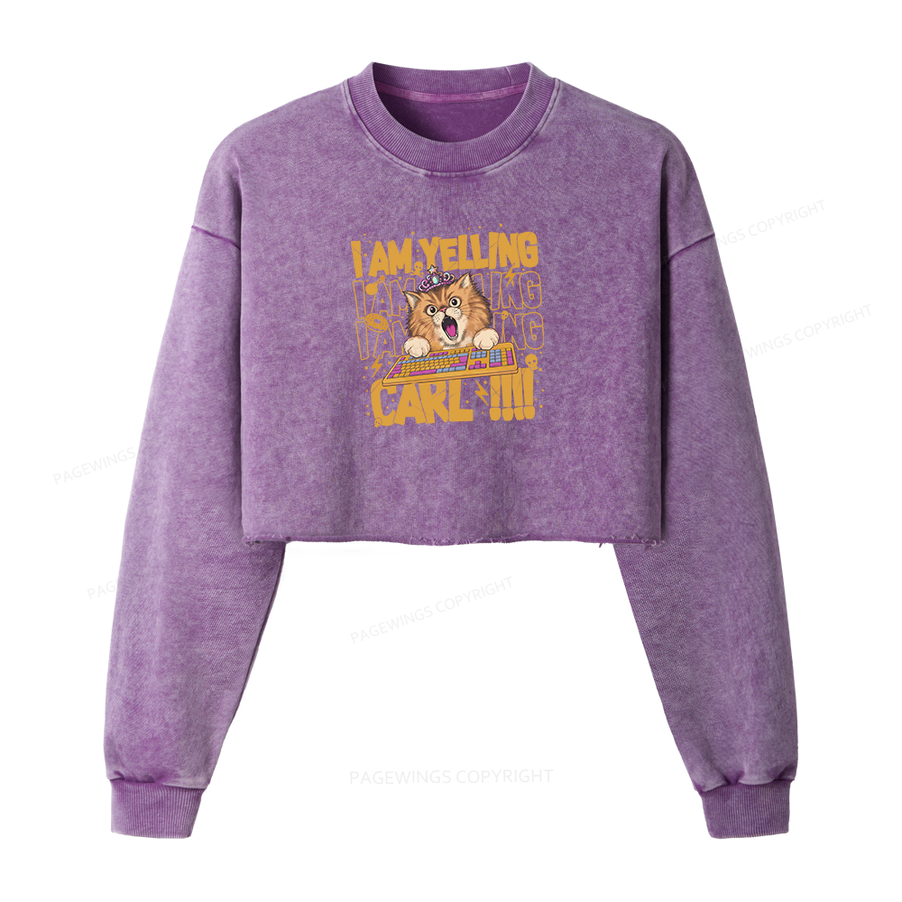 Pagewings Sci-Fi Novel Lover Washed Crop Sweatshirt