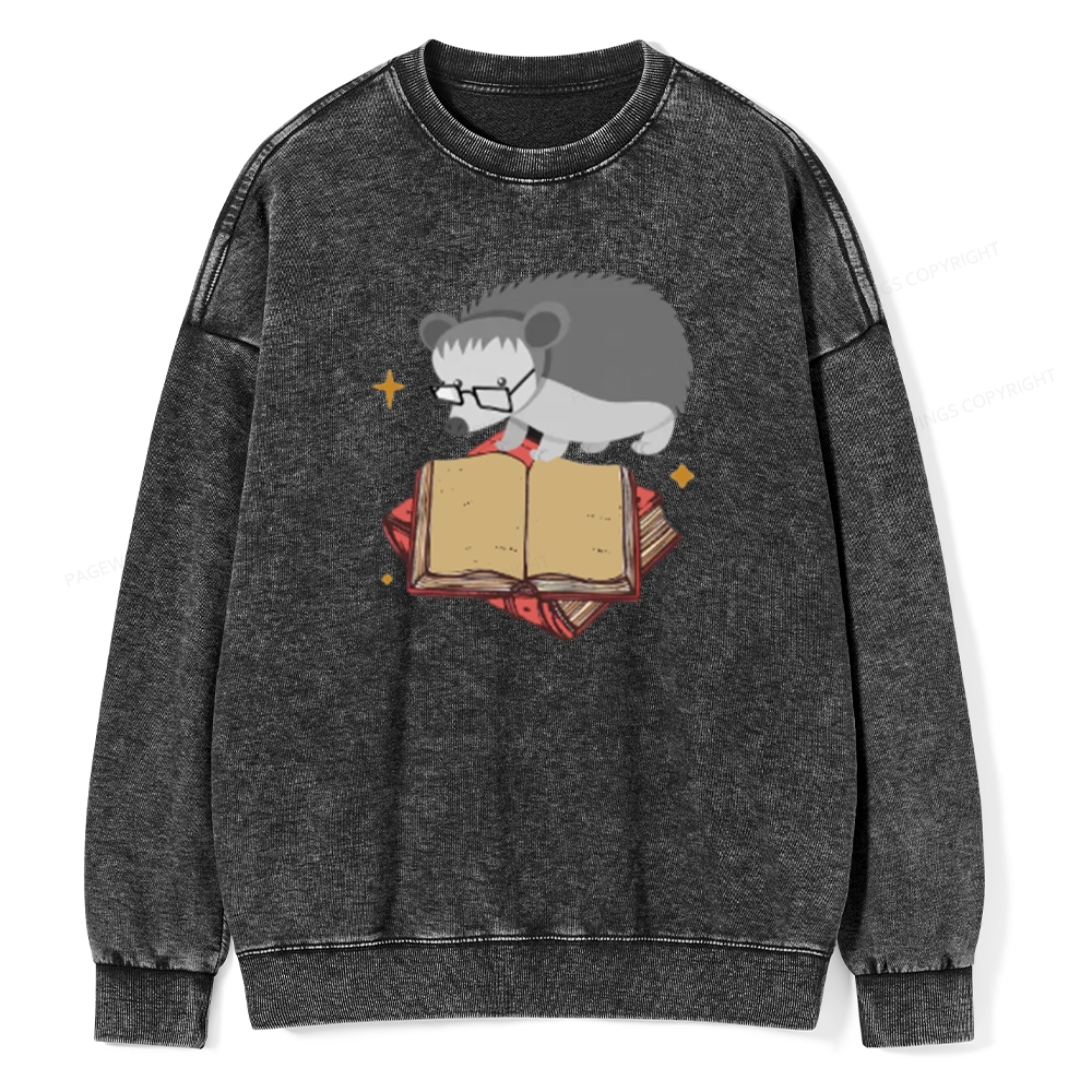 Pagewing Fun Hedgehog Is Reading Unisex Washed Sweatshirt