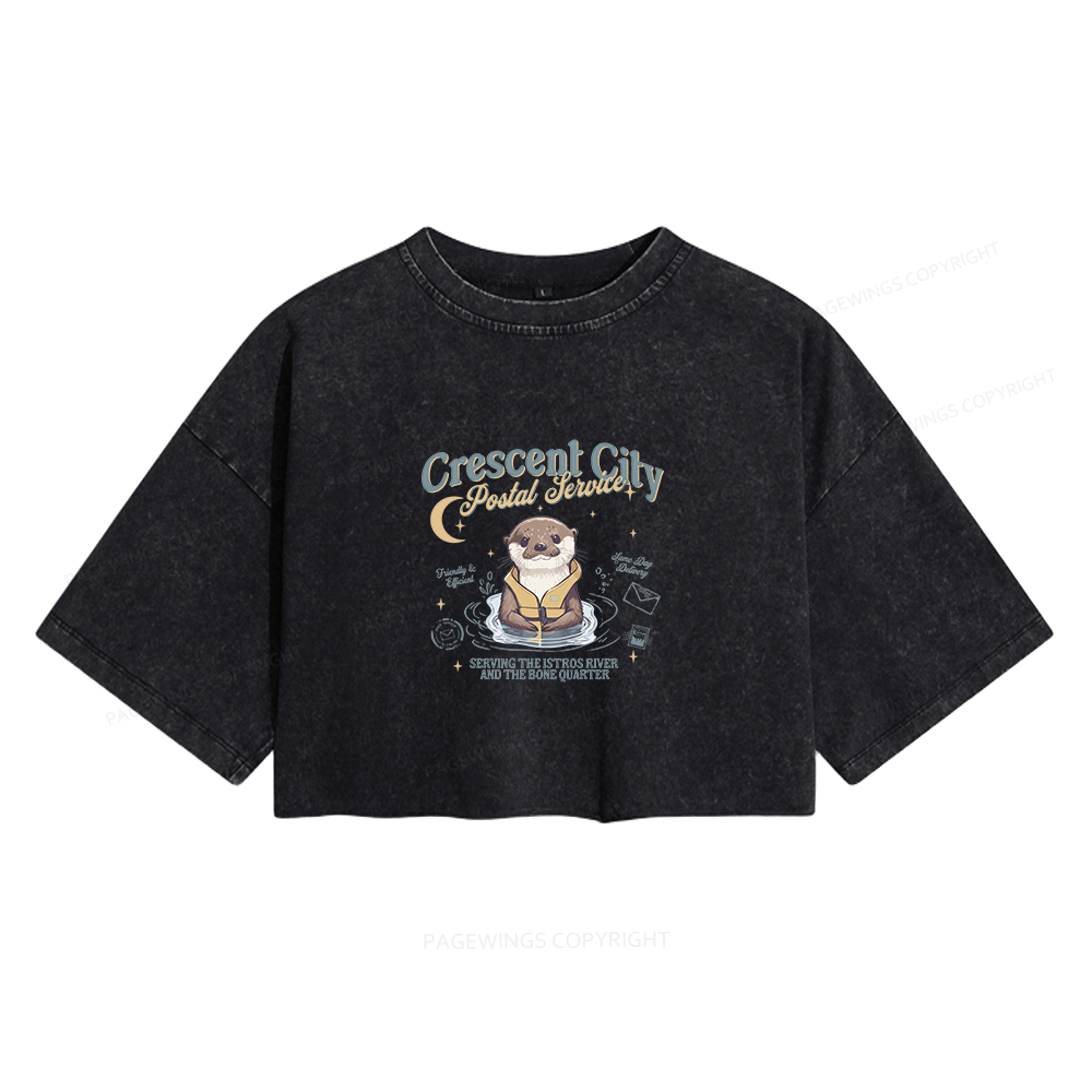 Pagewing Reading Fantasy Bookish Women's Washed Cropped T-shirt
