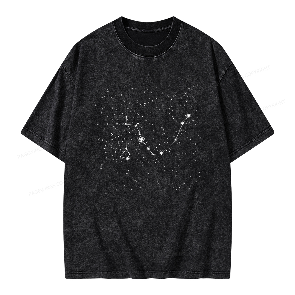Pagewings Fanfiction bookish Unisex Washed T-shirt