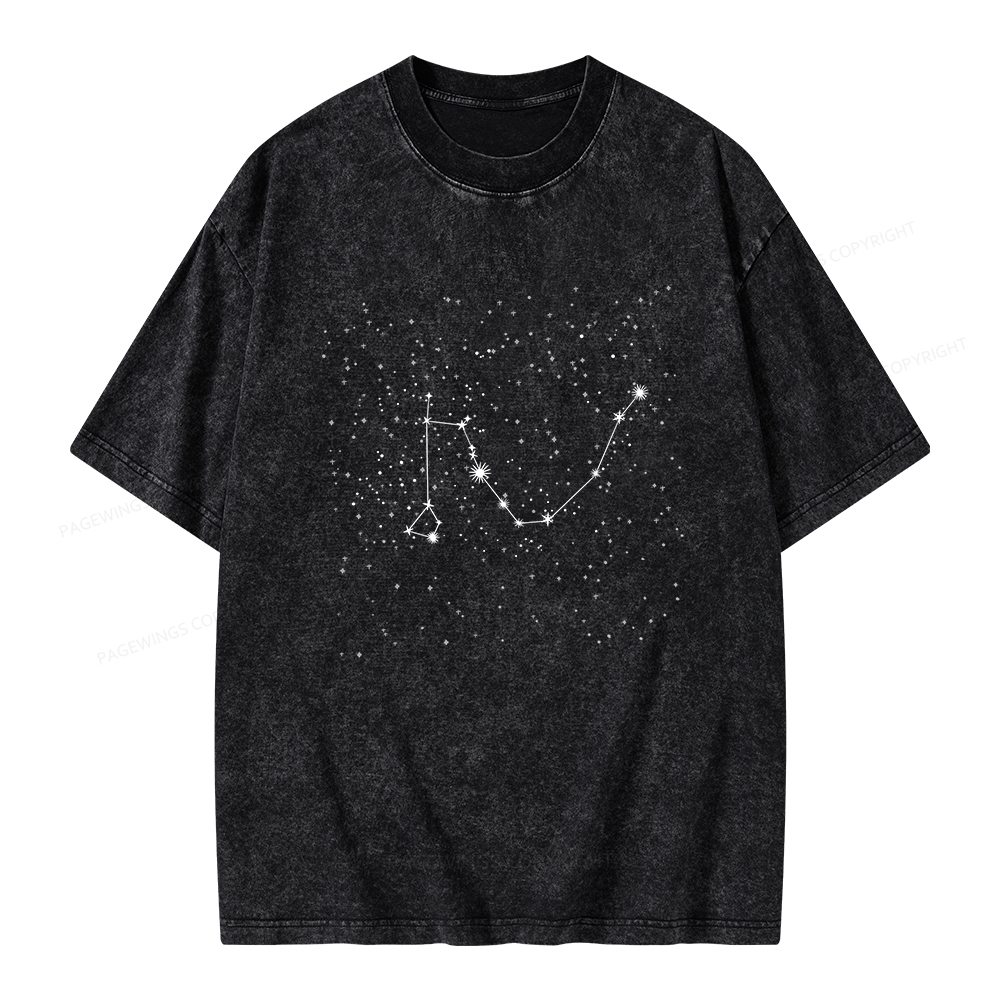 Pagewings Fanfiction bookish Unisex Washed T-shirt