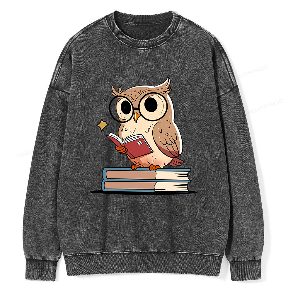 Pagewings The Owl Reader Unisex Washed Sweatshirt