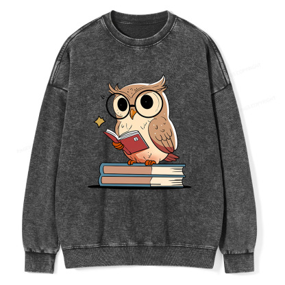 Pagewings The Owl Reader Unisex Washed Sweatshirt