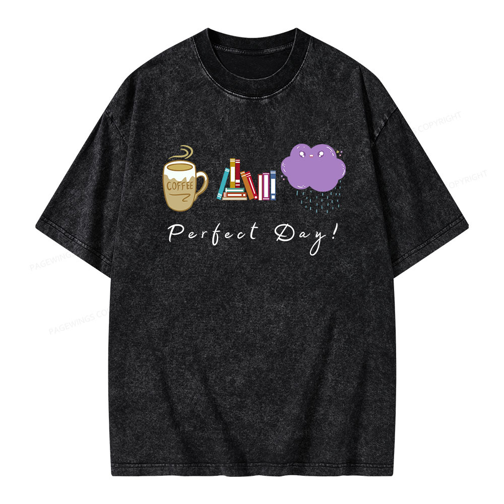 Pagewings Perfect Day Unisex Washed T-shirt
