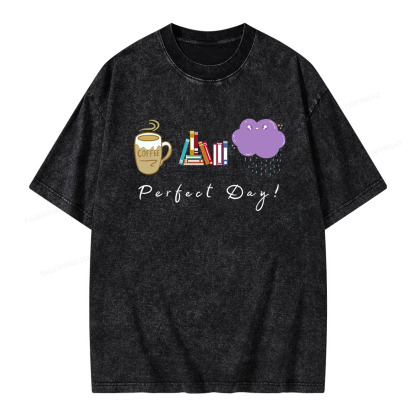 Pagewings Perfect Day Unisex Washed T-shirt