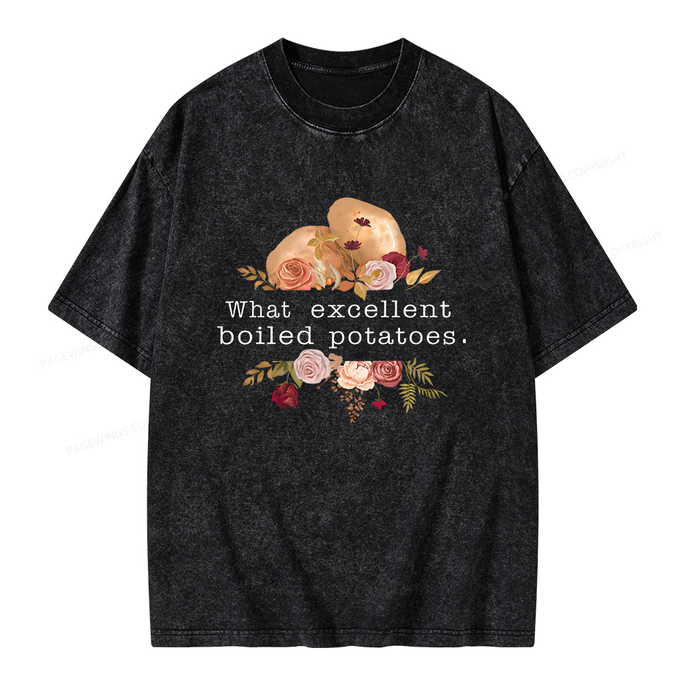 Pagewings Pride and Prejudice Unisex Washed T-shirt