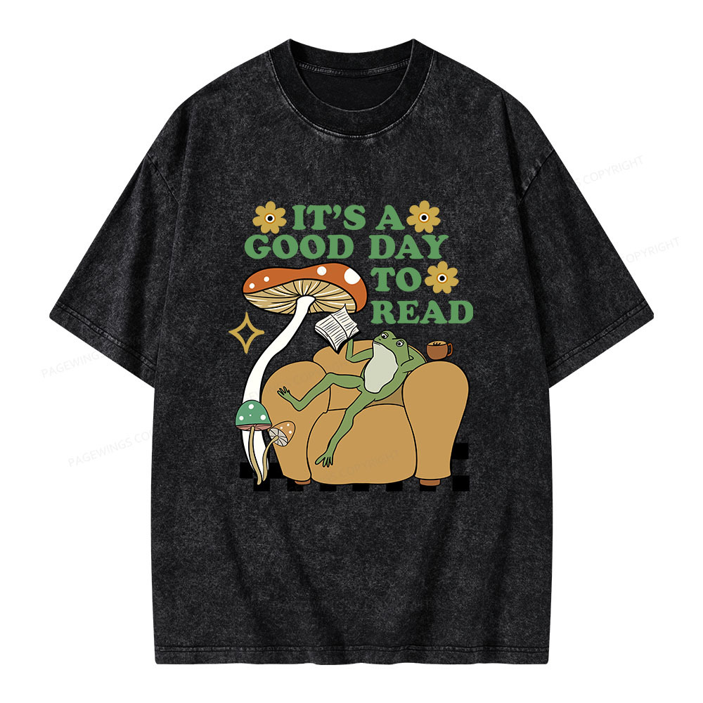 Pagewings It's A Good Day To Read Banned Books Unisex Washed T-shirt