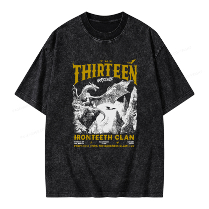 Pagewings The Thirteen Unisex Washed T-shirt