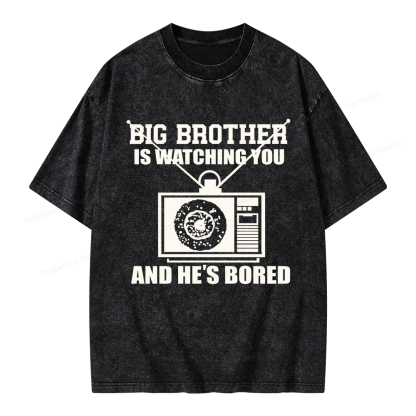 Pagewings Big Brother is Watching Unisex Washed T-shirt