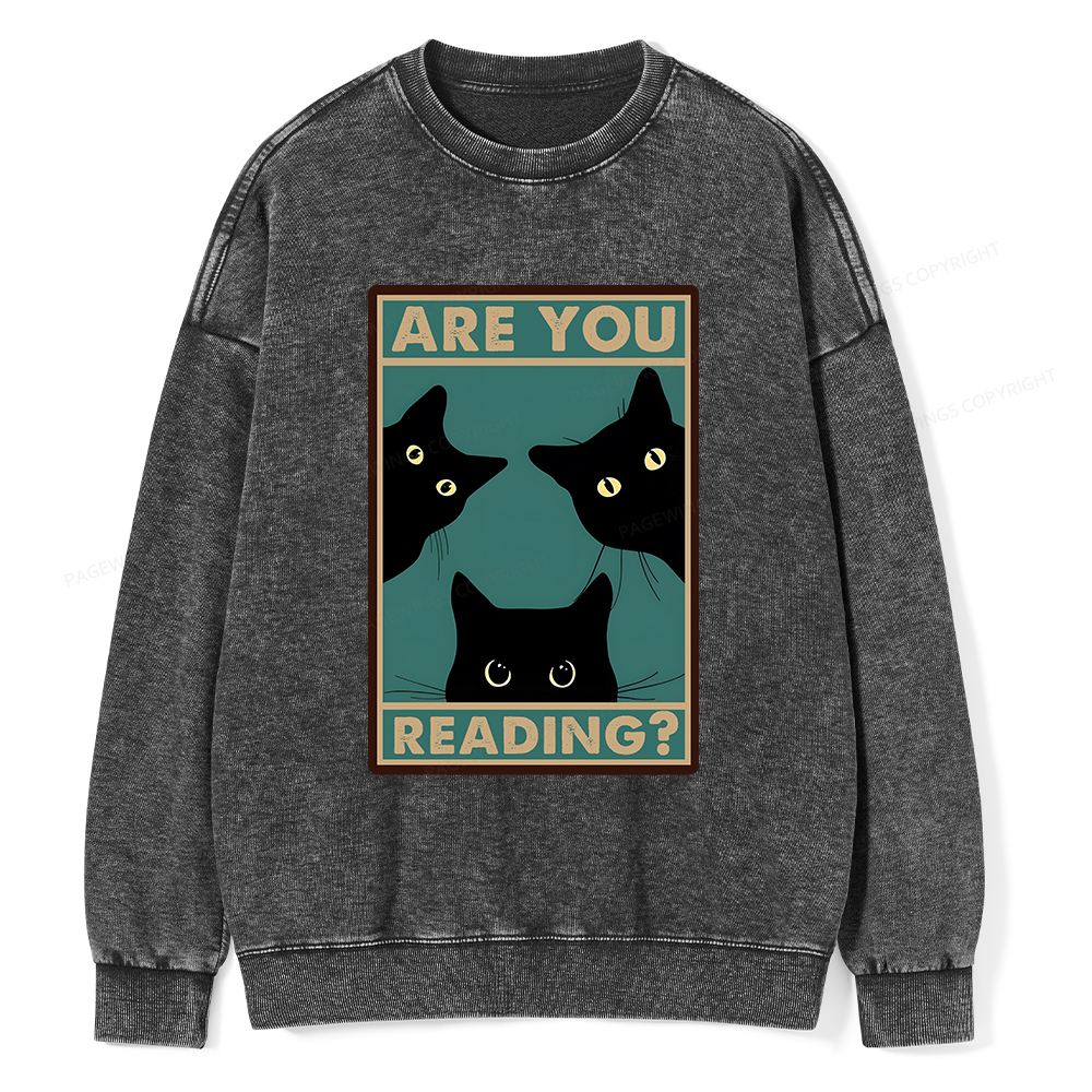 Pagewings Are You Reading Unisex Washed Sweatshirt