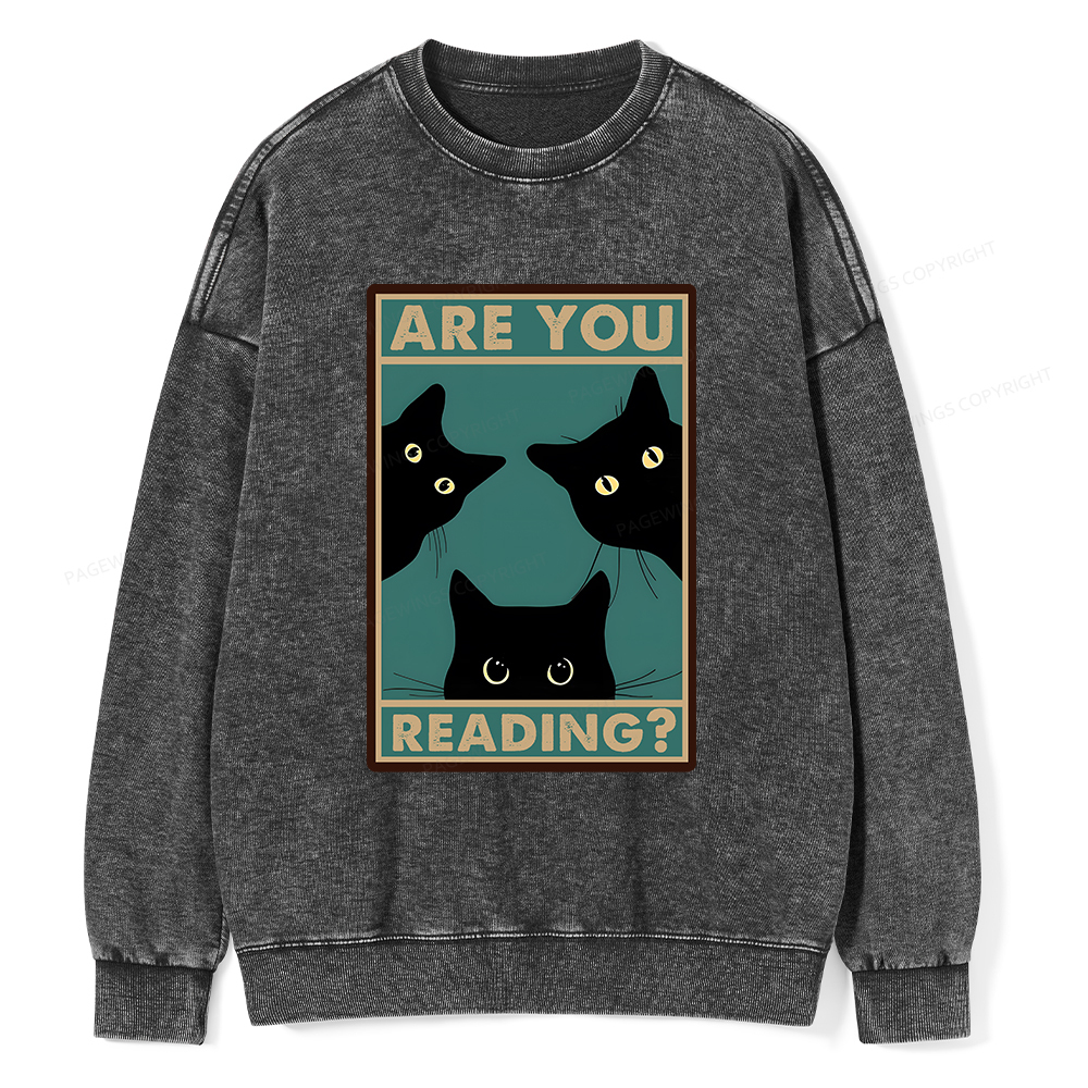 Pagewings Are You Reading Unisex Washed Sweatshirt