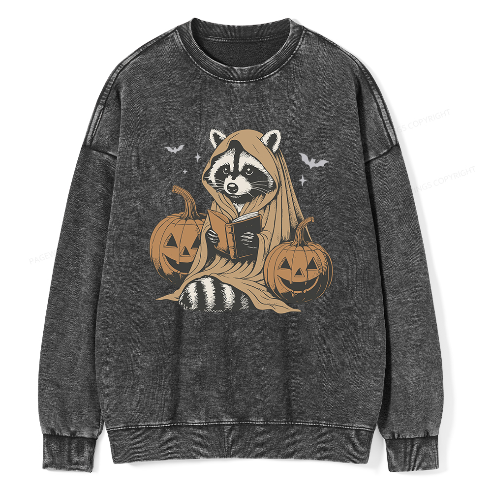 Pagewings Halloween Cute Raccoon Ghost Reading Unisex Washed Sweatshirt