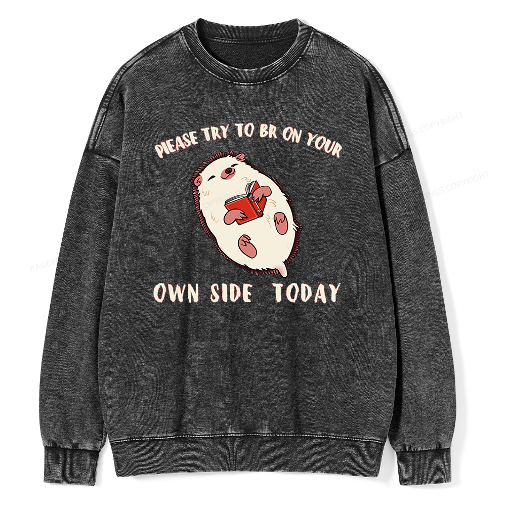 Pagewings Please Try To Be On Your Own Side Today Unisex Washed Sweatshirt