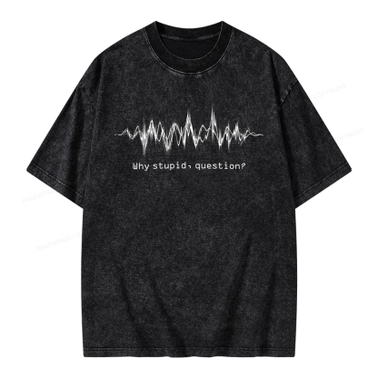 Pagewings Why Stupid Question Unisex Washed T-shirt