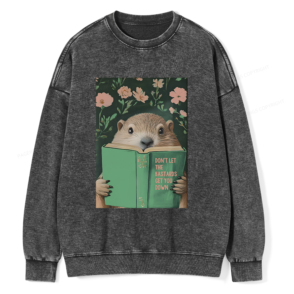 Pagewings Groundhog Reading Motivational Book Unisex Washed Sweatshirt