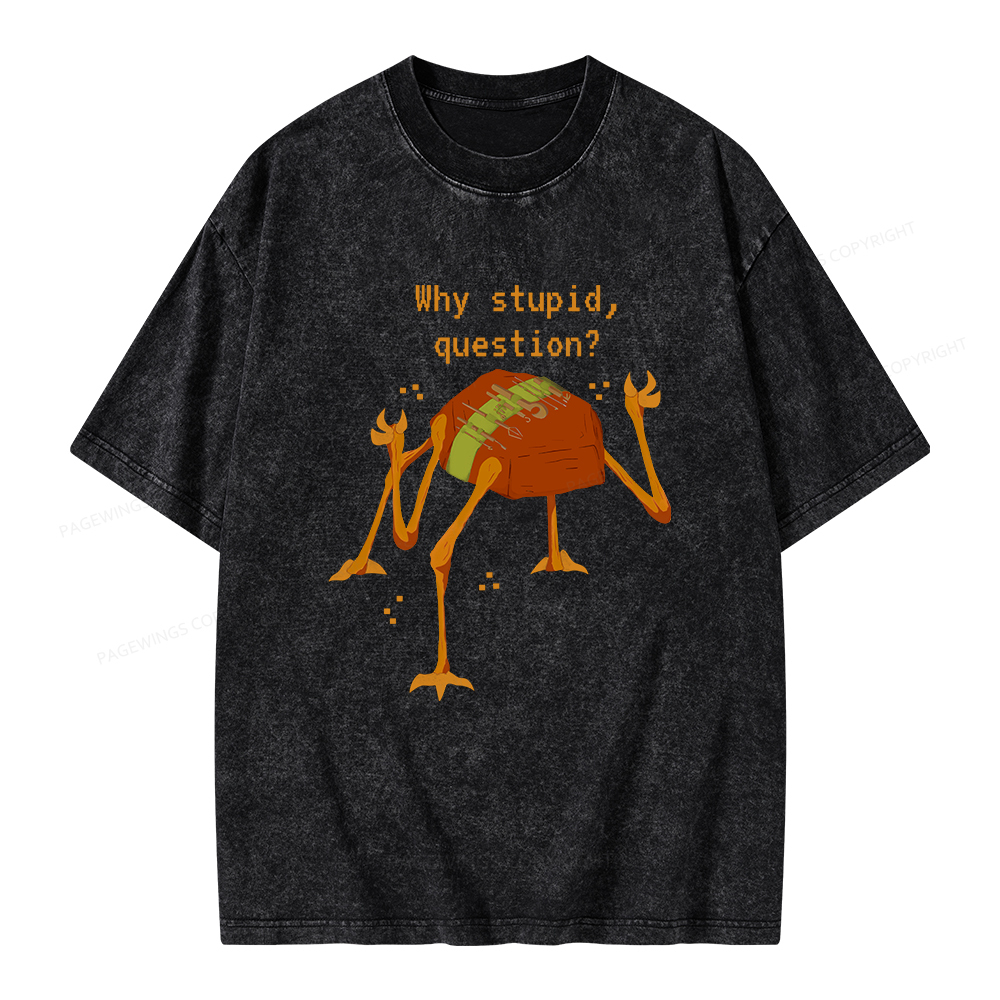 Pagewings Sci-Fi Why Stupid Question Unisex Washed T-shirt