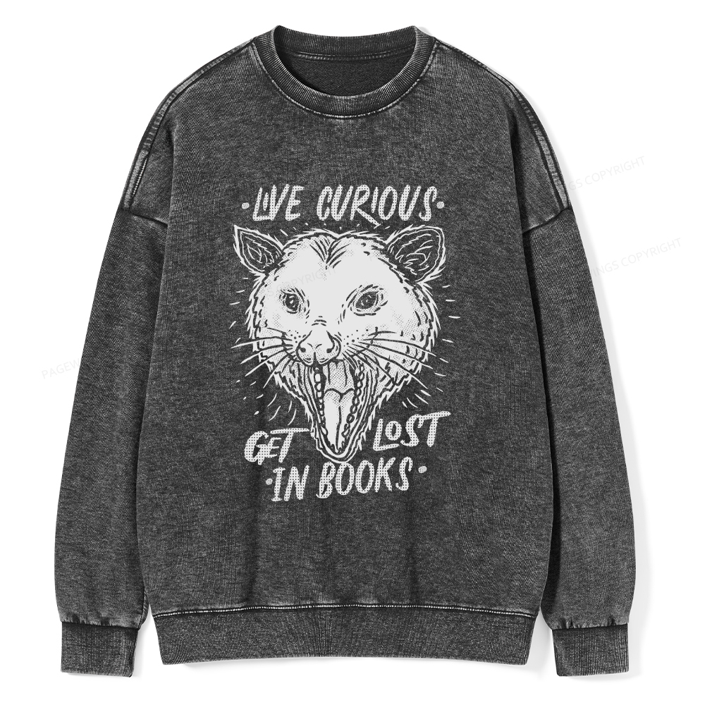Pagewings Live Curious, Get Lost In Books Unisex Washed Sweatshirt