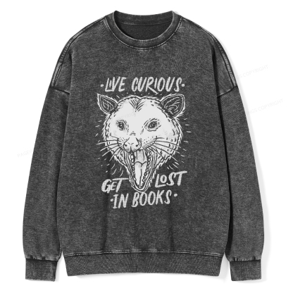 Pagewings Live Curious, Get Lost In Books Unisex Washed Sweatshirt