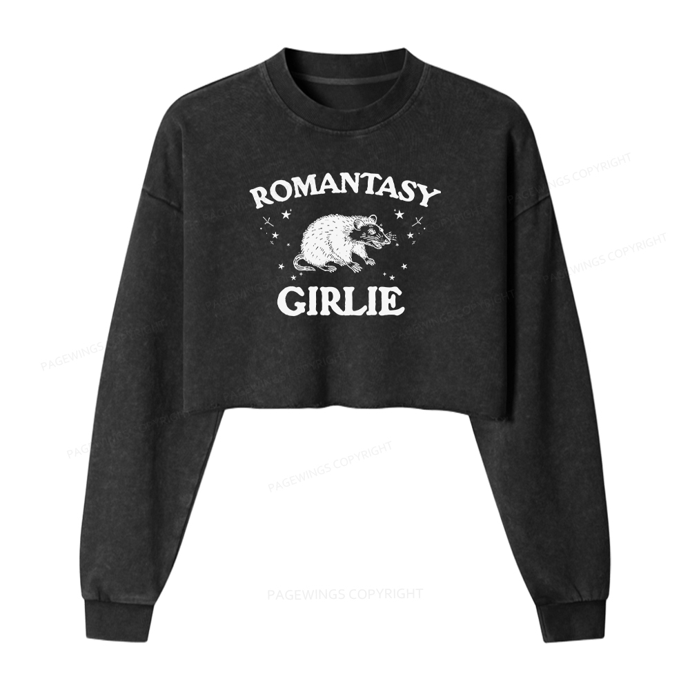 Pagewings Romantasy Girlie Women Washed Crop Sweatshirt