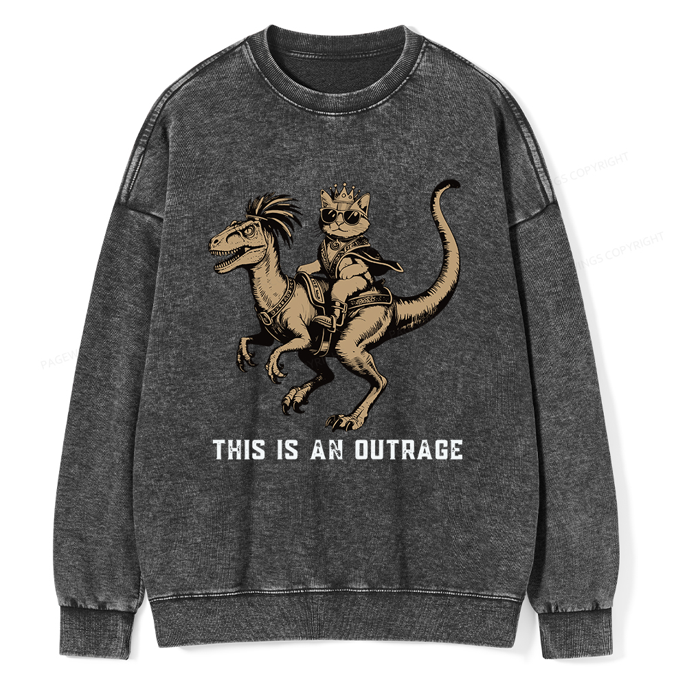 Pagewings Fantasy Book Reader Unisex Washed Sweatshirt