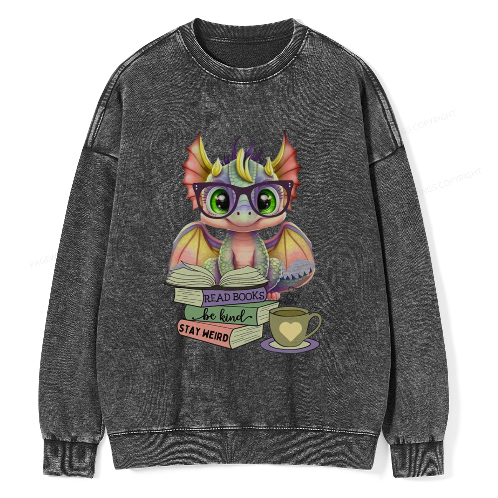 Pagewings Cute Dragon Reading Unisex Washed Sweatshirt