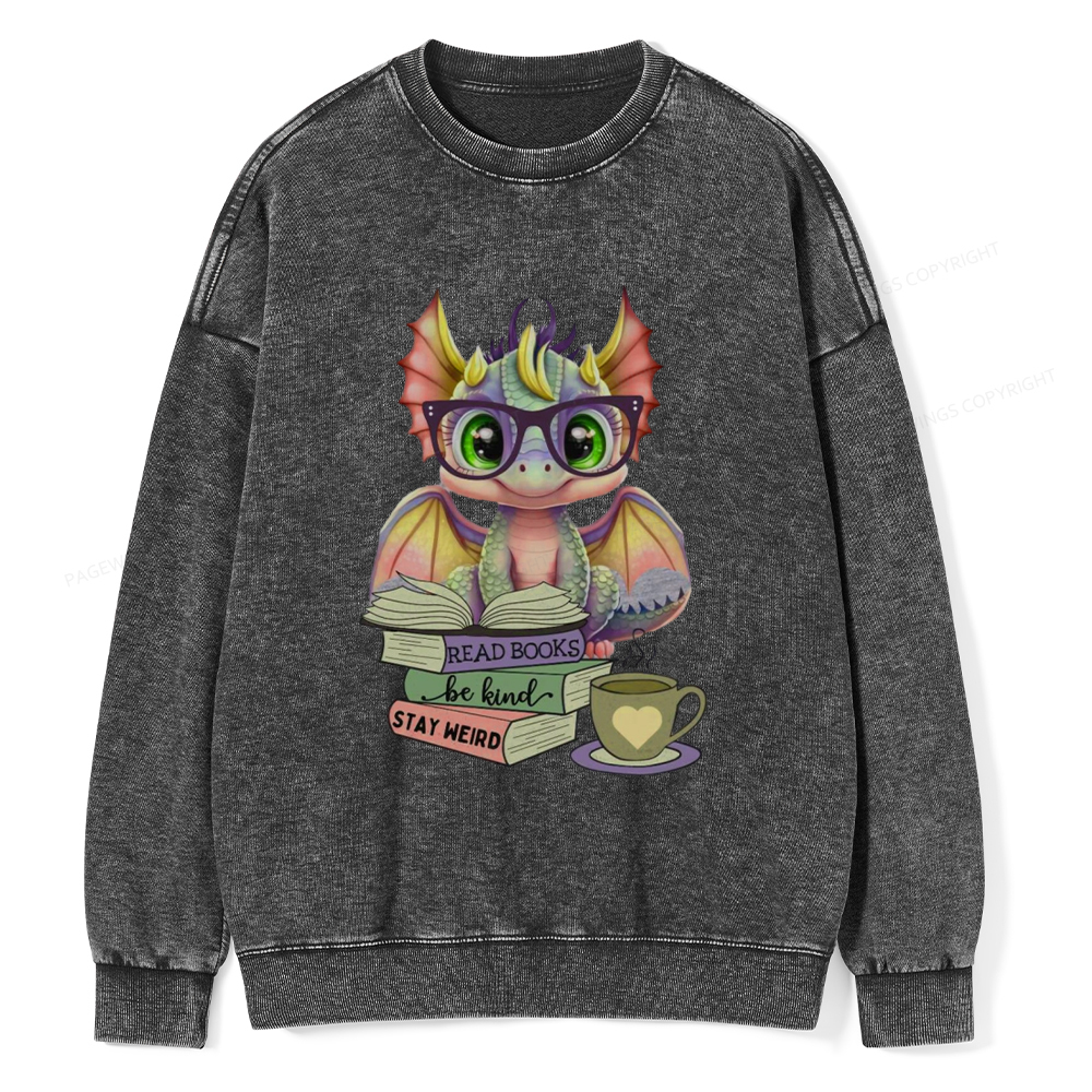 Pagewings Cute Dragon Reading Unisex Washed Sweatshirt