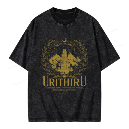 Pagewings Urithiru Unisex Washed T-shirt
