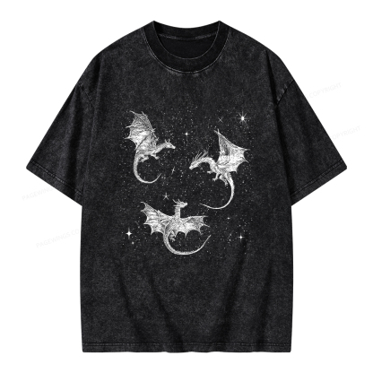 Pagewings Dragon Fantasy Unisex Washed T-shirt