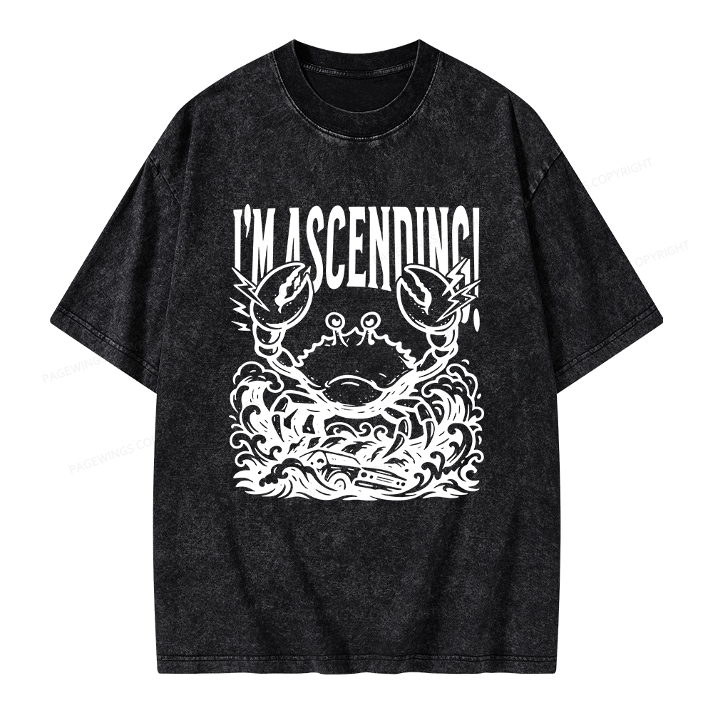Pagewings I'm Ascending Vintage Unisex Washed T-shirt