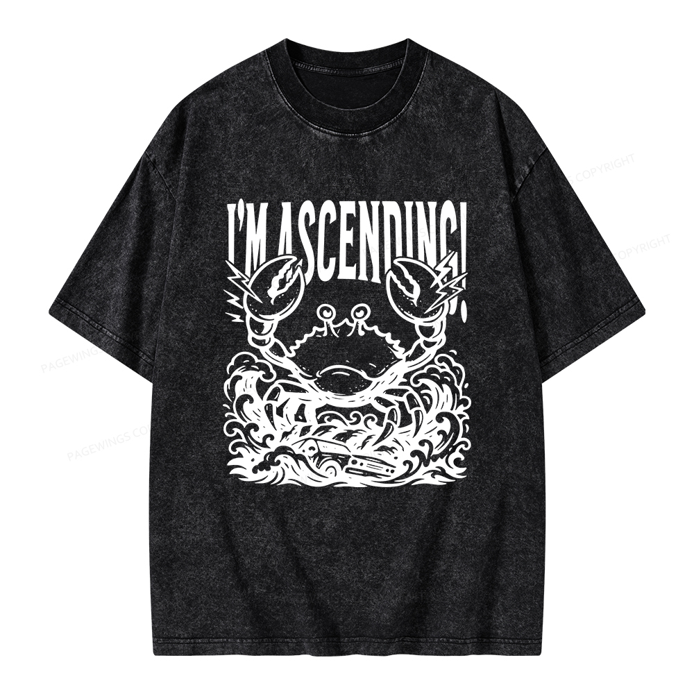 Pagewings I'm Ascending Vintage Unisex Washed T-shirt